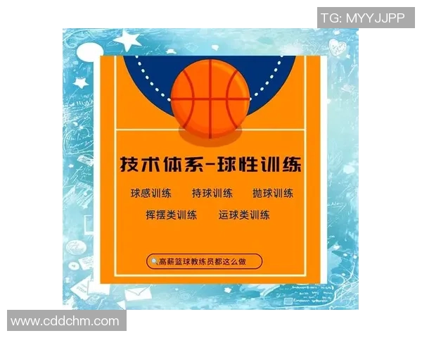 赵军独家分享篮球心得与技巧助你提升球技的全面指南