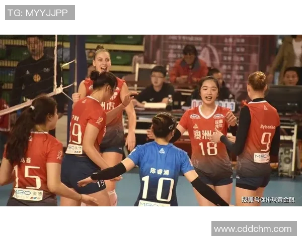 深圳排球队技术实力分析与比赛表现全面点评