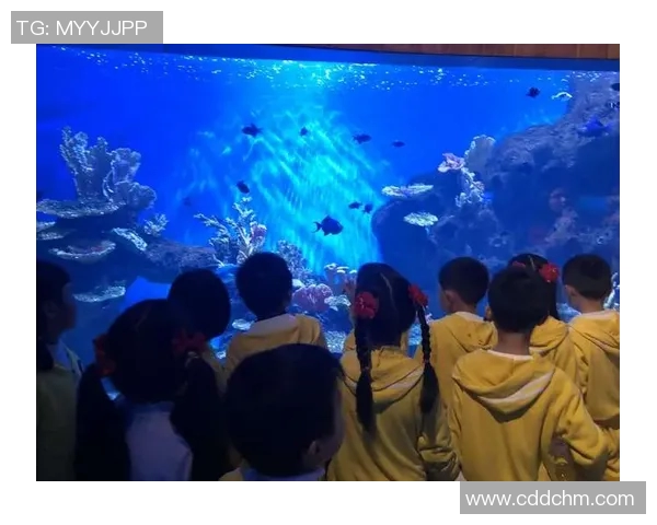 足球明星名字的奇妙搭配探索与创意联想之旅